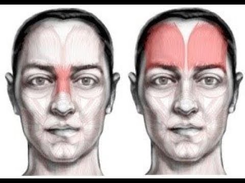 Linguaggio del corpo  Le differenze tra disgusto   disprezzo