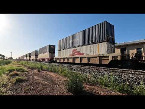 SCT005 & SCT008 Bogan Gate NSW.  Fri 20th Dec 2024