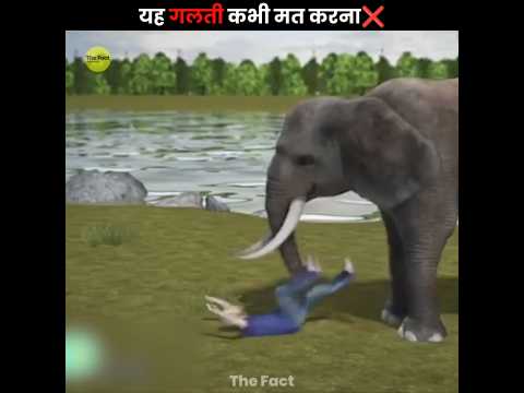 Terrifying Animals Encounters 😰