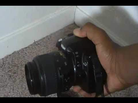 Nikon D40 SLR Camera Review!