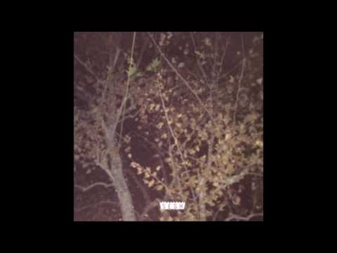 03. Kodyak - Sun Bloom