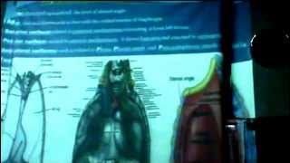 dr ahmed el zayny  dr ahmed galal pericardium 26 2