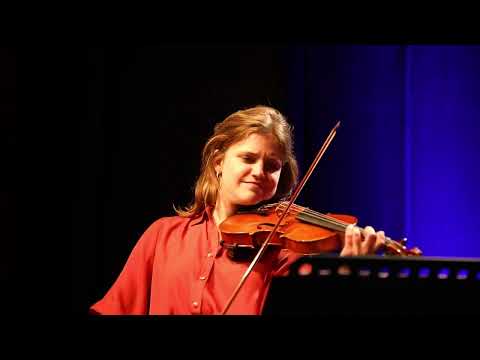 Concertsuite - Music for Clarinet, Violin and Accordion