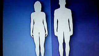 Twins separated at birth marry each other