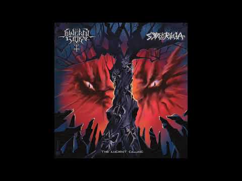 Synteleia - Stellar Return