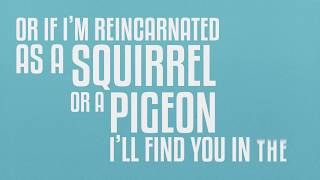 IF I DIE BEFORE YOU // SHAINA TAUB