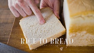 [No Music] How to make Bread out of RICE // Gluten-free