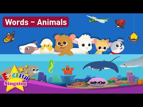 Theme "Animals" (Baby Animals, Sea Animals, Bugs, Animal Sounds) - Kids vocabulary - easy words