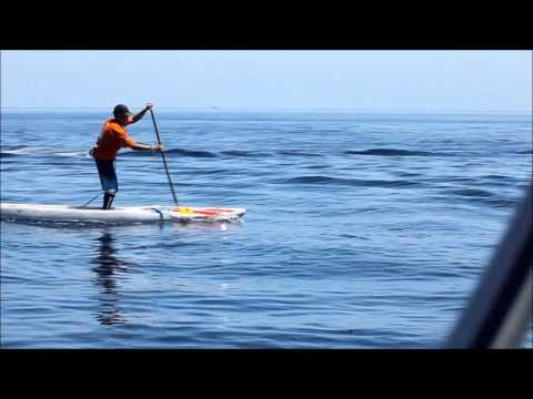 BLUE SCOPE RACE 2013 SUP DIVISION