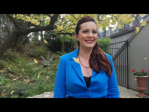 Vitrina e librit/ Ditë e re- Nikos Chrysos - Një natë dhjetori