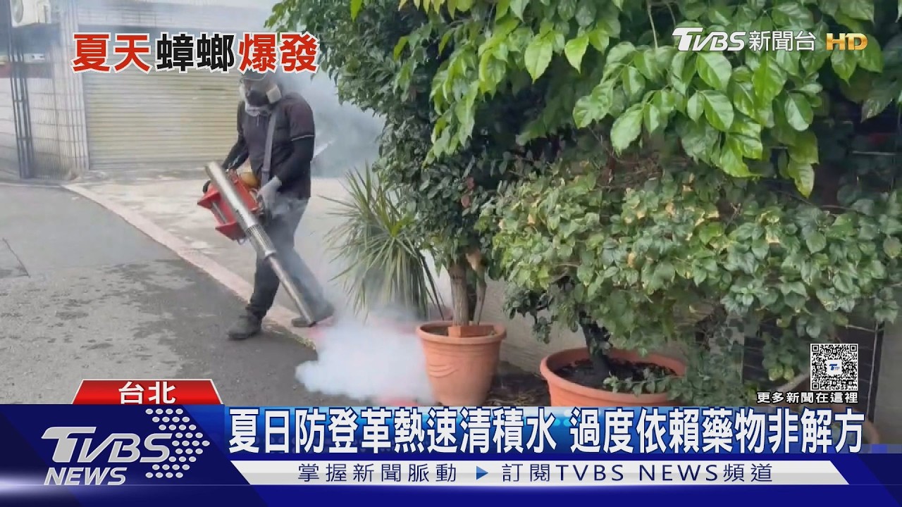 夏天蟑螂大軍入侵!專家揭「3大躲藏點」 餌劑這樣放才有效