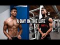 A Day In The Life Part II: Working 2 Jobs, Eating on the Go, and Upper Body Workout
