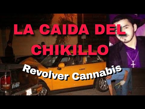 La Caída del Chikillo Mafias (antrax) [ by revolver cannabis] el chuky