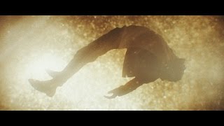 Wild Palms - Temper Gold (Official Video)