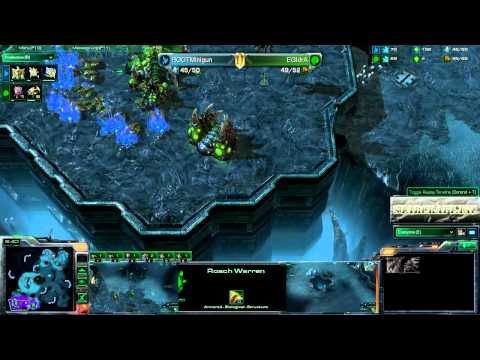 EGIDRA (Z) vs ROOTMINIGUN (P)