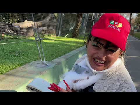 Varga Irén új élete - 3. rész / Az állatkert /