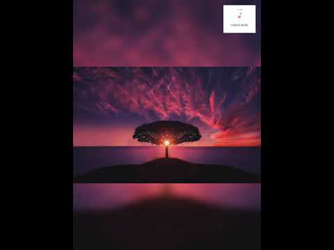 Morning Fresh Nature Song 😍🎶 __ Maarghazi Poove__ Inspired by Kausalya supraja