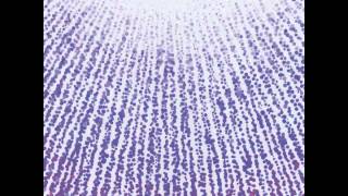 Joe Goddard Feat. Mara Carlyle - She Burns (Leo Invisible Remix)