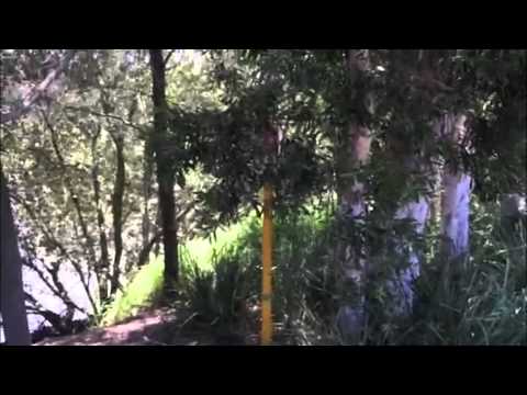 Rhino/Tapex Tips From The Field - Tall grass and vegetation