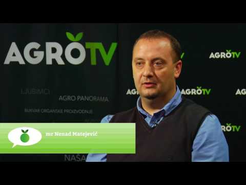 Reč struke ep. 82 30.05.2017.