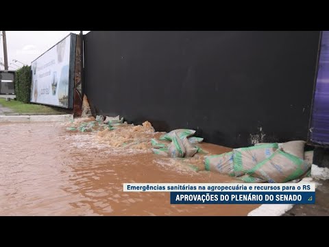 Senado aprova crédito de R$ 12,2 bilhões no Orçamento para recuperação do RS