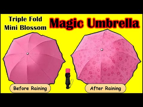 2 Fold Manual Magic Umbrella