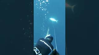 This Big Fish Should NOT Have Come Back...