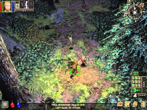 Let's Play Dungeon Siege Part 1