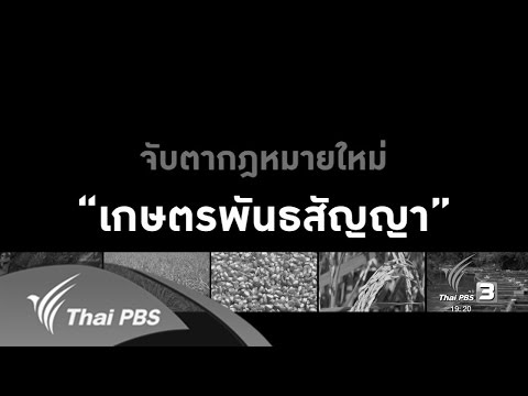 รูเล็ก ๆ บนกิ่งไม้ ช็อปคิดเห็นพรูสทิ