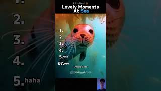 Download lagu Lovely Moments At Sea mp3 Download lagu Lovely Moments At Sea mp3
