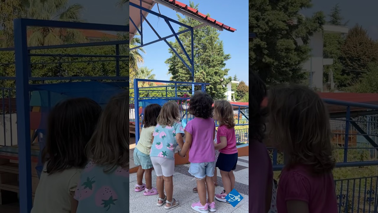 🍇💙Project «σταφίδα»