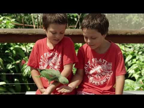 Birdworld Kuranda