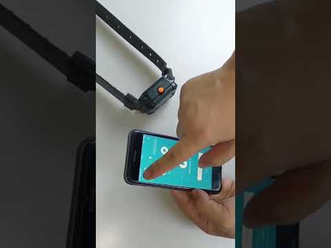 Pet-Iot