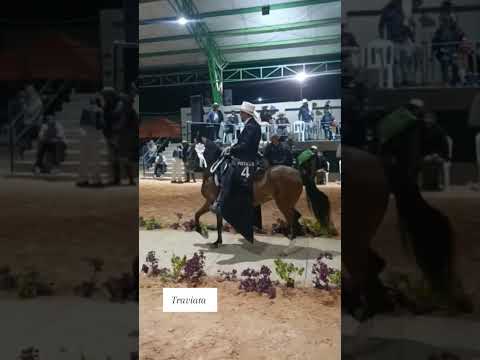 Festival Pesca Boyacá