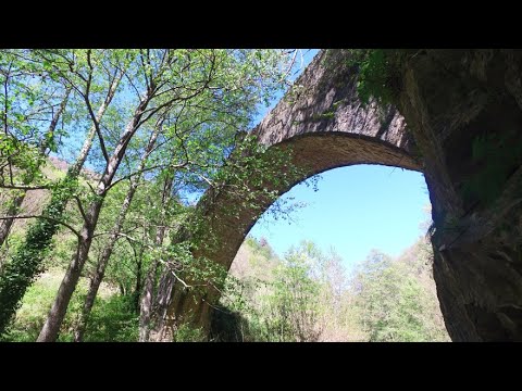 Geo  "Nella Valle del Savuto"  Rogliano e Marzi: borghi ricchi di storia e tradizioni