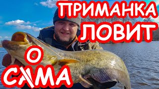 Наживка для джиговой ловли