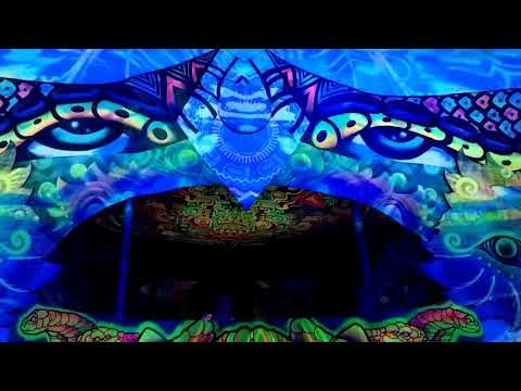 GOA GIL @ THE PARADISE - MEXICO 2017