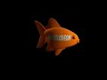 WSB Nickelodeon Fish American Greetings 2009 2010