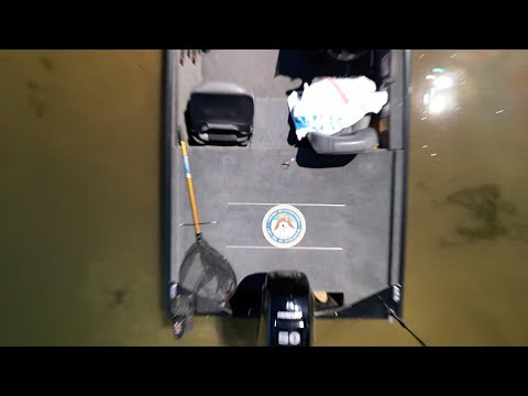 Evening Flight Cover