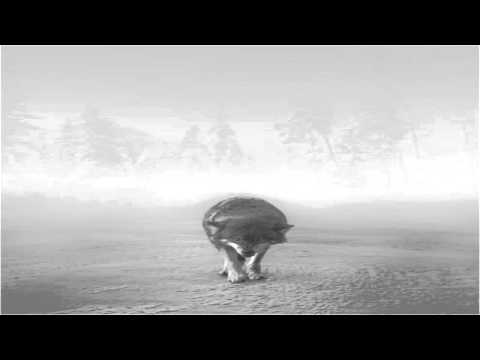 Chiko Zurdo - Roto por dentro