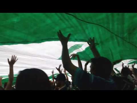 Gol Dudu - Palmeiras x Santos - 03/11/2018 (1-0)