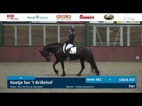 IBOP Wergea | 26 januari 2023