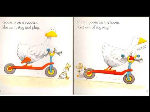 Goose on the loose(Phonics Readers)