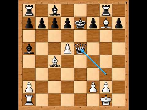 Potez genija pobedobosno odvlačenje ključnog branioca 💣💣💣😎  FISCHER vs FINE #3547