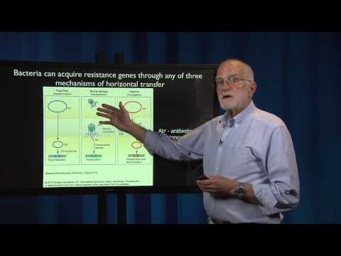 Pathogen Evolution: Resistance