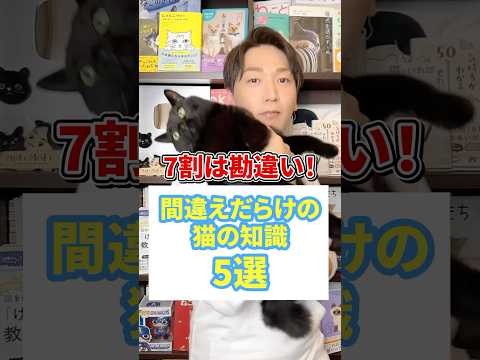 猫が予測できる7つのこと