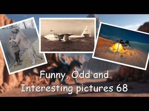 Funny, Odd, Interesting Pictures Video 68