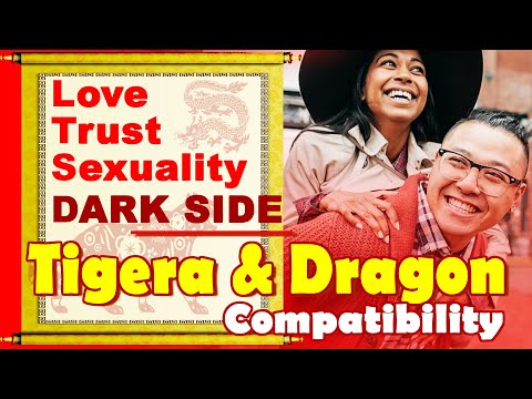 Tiger and Dragon Compatibility in Love, Life, Trust, Intimacy | Tiger & Dragon Chinese Zodiac Compat