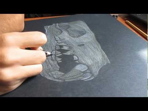 Hyaenodon Skull drawing