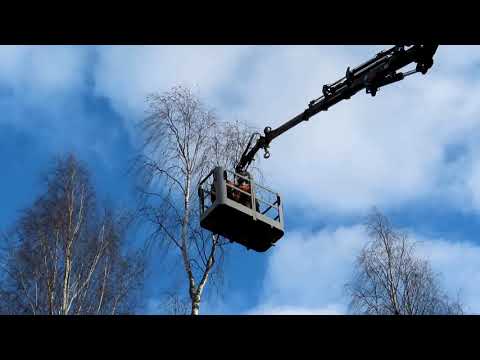 Puun kaato hankalassa  paikassa pätkimällä.